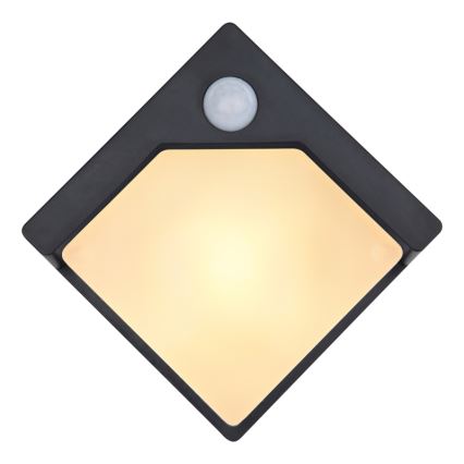 Globo - Éclairage solaire avec détecteur LED/0,48W/3V IP44 600 mAh