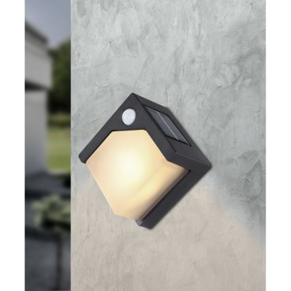 Globo - LED-lamp op zonne-energie met een sensor LED/0,48W/3V IP44 600 mAh