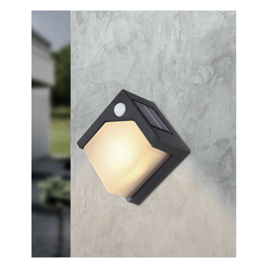 Globo - LED-lamp op zonne-energie met een sensor LED/0,48W/3V IP44 600 mAh