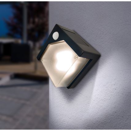 Globo - LED-lamp op zonne-energie met een sensor LED/0,48W/3V IP44 600 mAh