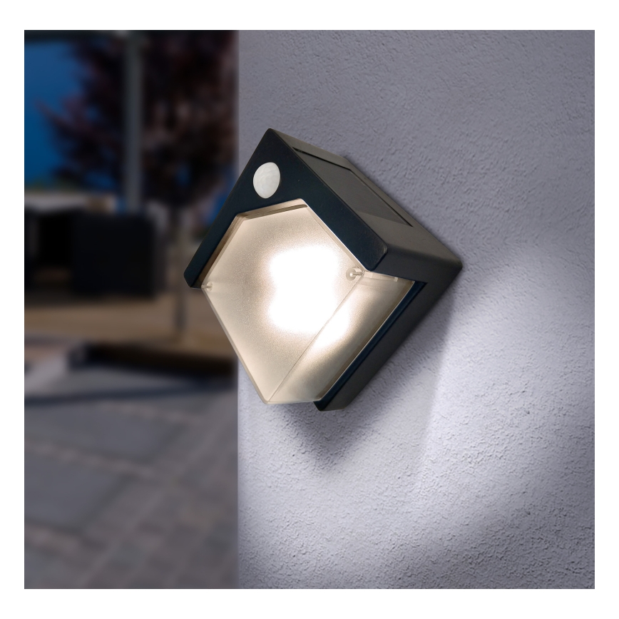 Globo - LED-lamp op zonne-energie met een sensor LED/0,48W/3V IP44 600 mAh