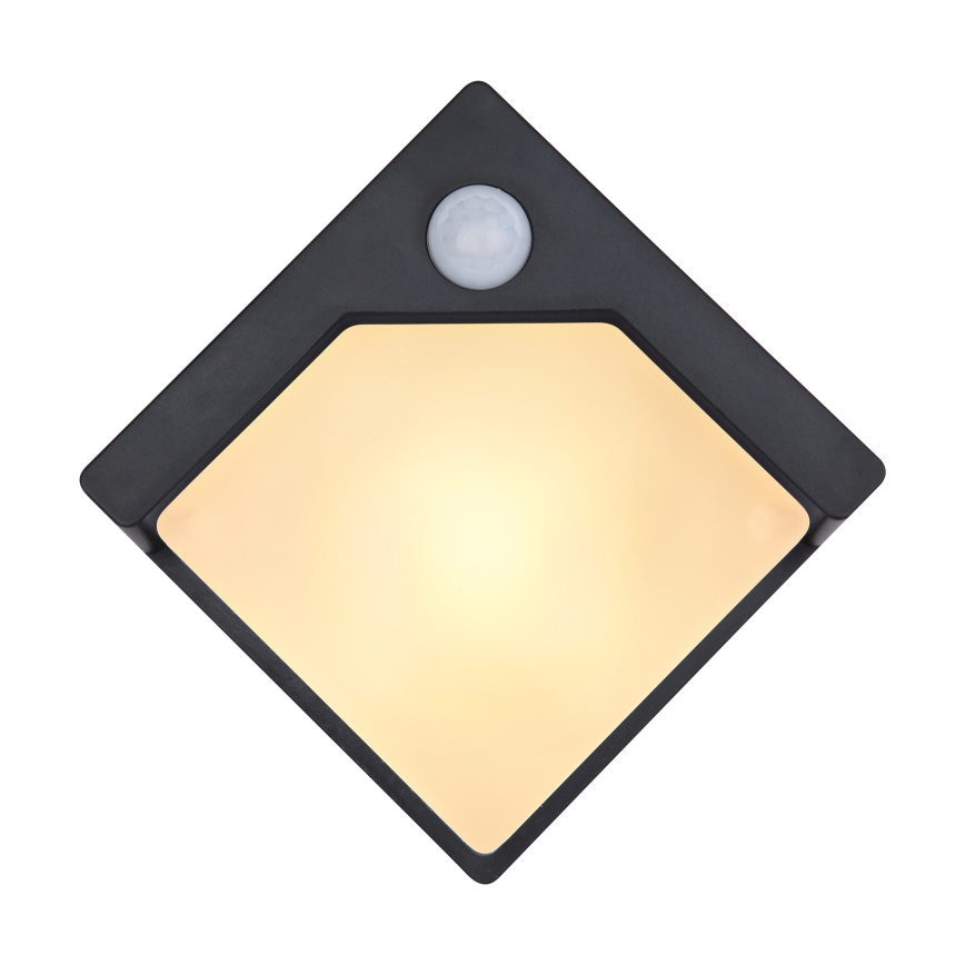 Globo - LED-lamp op zonne-energie met een sensor LED/0,48W/3V IP44 600 mAh