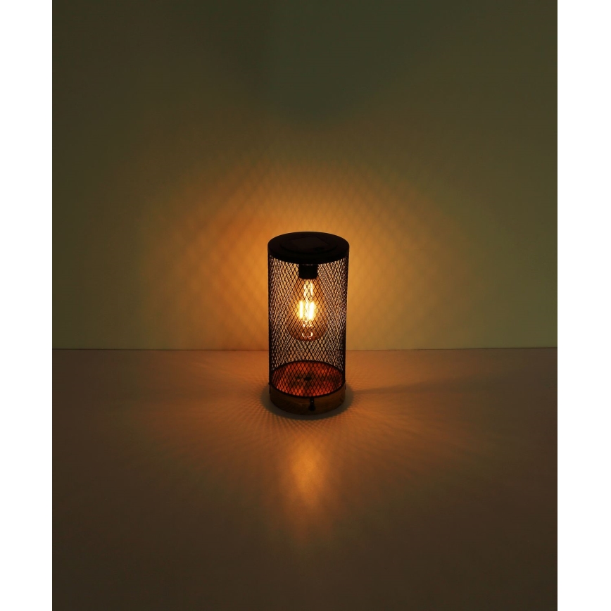 Globo - LED lamp op zonne-energie LED/0,06W/3V 3000K IP44