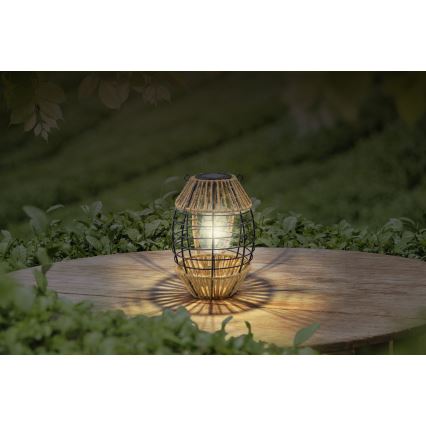 Globo - LED lamp op zonne-energie LED/2W/3V IP44