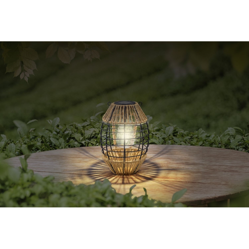 Globo - LED lamp op zonne-energie LED/2W/3V IP44