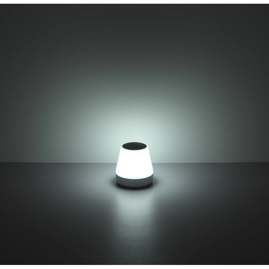 Globo - Éclairage solaire RGB LED/0,2W/3,7V IP44 1200 mAh