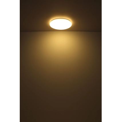 Globo - LED Plafondlamp LED/24W/230V diameter 49,5 cm wit