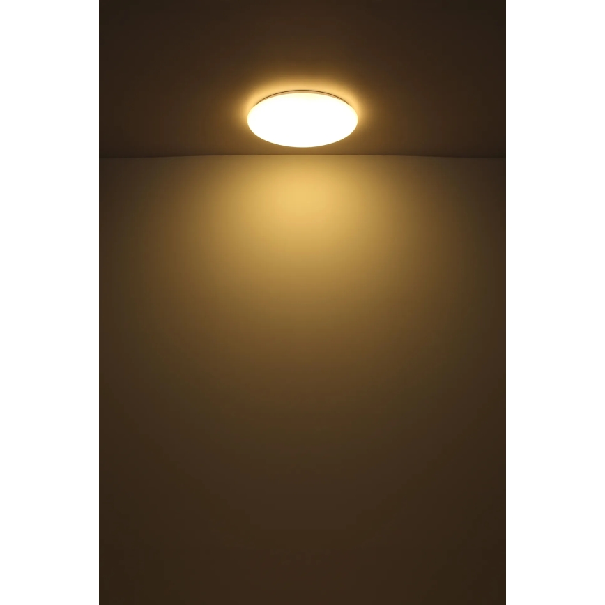 Globo - LED Plafondlamp LED/24W/230V diameter 49,5 cm wit