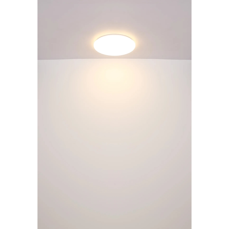 Globo - LED Plafondlamp LED/24W/230V diameter 49,5 cm wit
