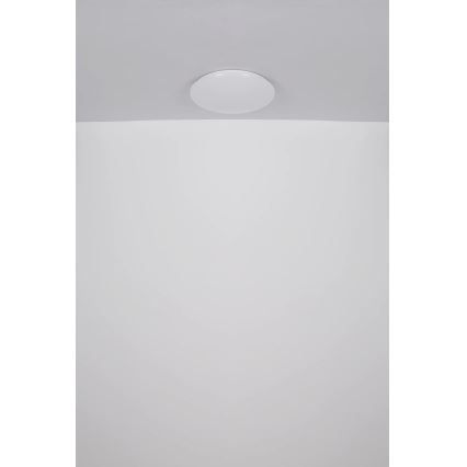 Globo - LED Plafondlamp LED/24W/230V diameter 49,5 cm wit