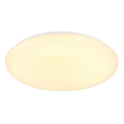 Globo - LED Plafondlamp LED/24W/230V diameter 49,5 cm wit