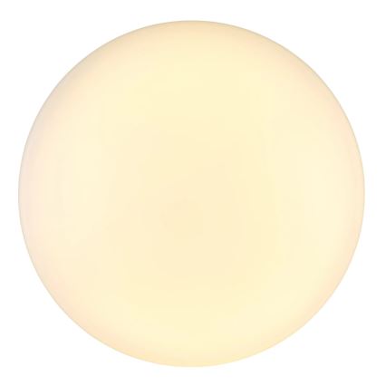 Globo - LED Plafondlamp LED/24W/230V diameter 49,5 cm wit