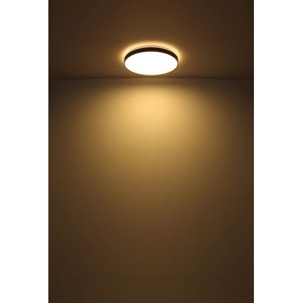 Globo - LED Plafondlamp LED/24W/230V diameter 48 cm antraciet