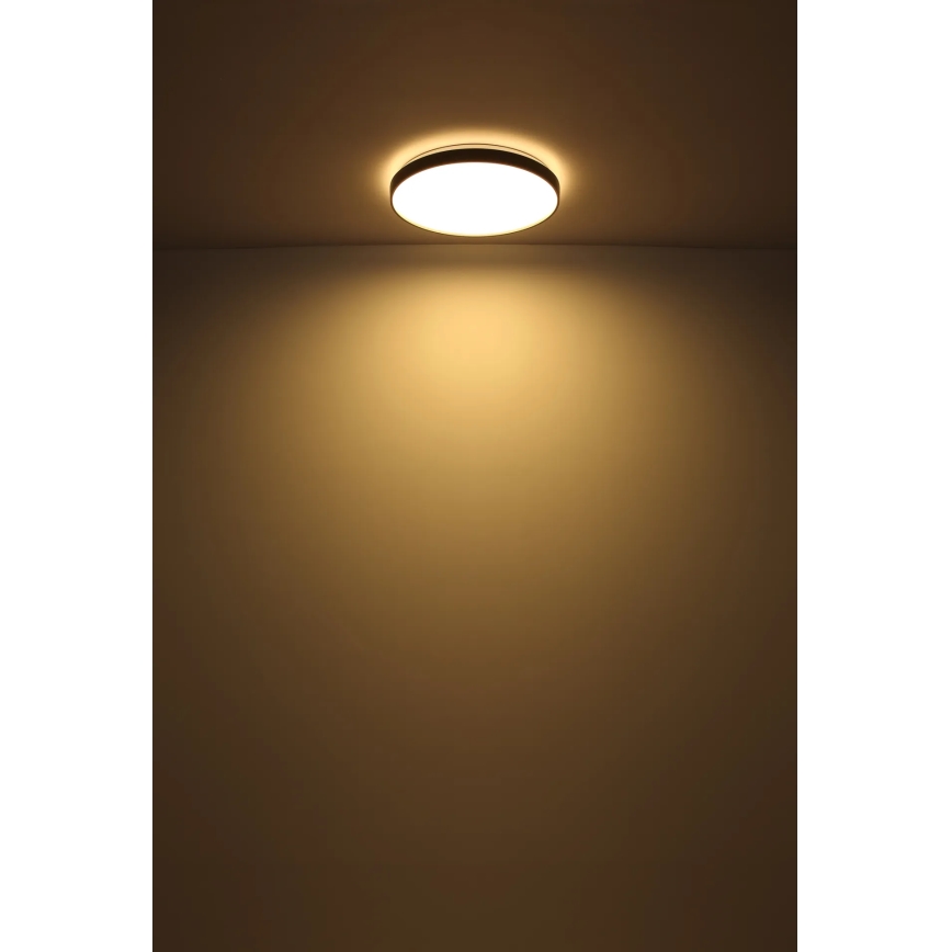 Globo - LED Plafondlamp LED/24W/230V diameter 48 cm antraciet