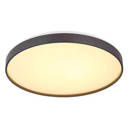 Globo - LED Plafondlamp LED/24W/230V diameter 48 cm antraciet