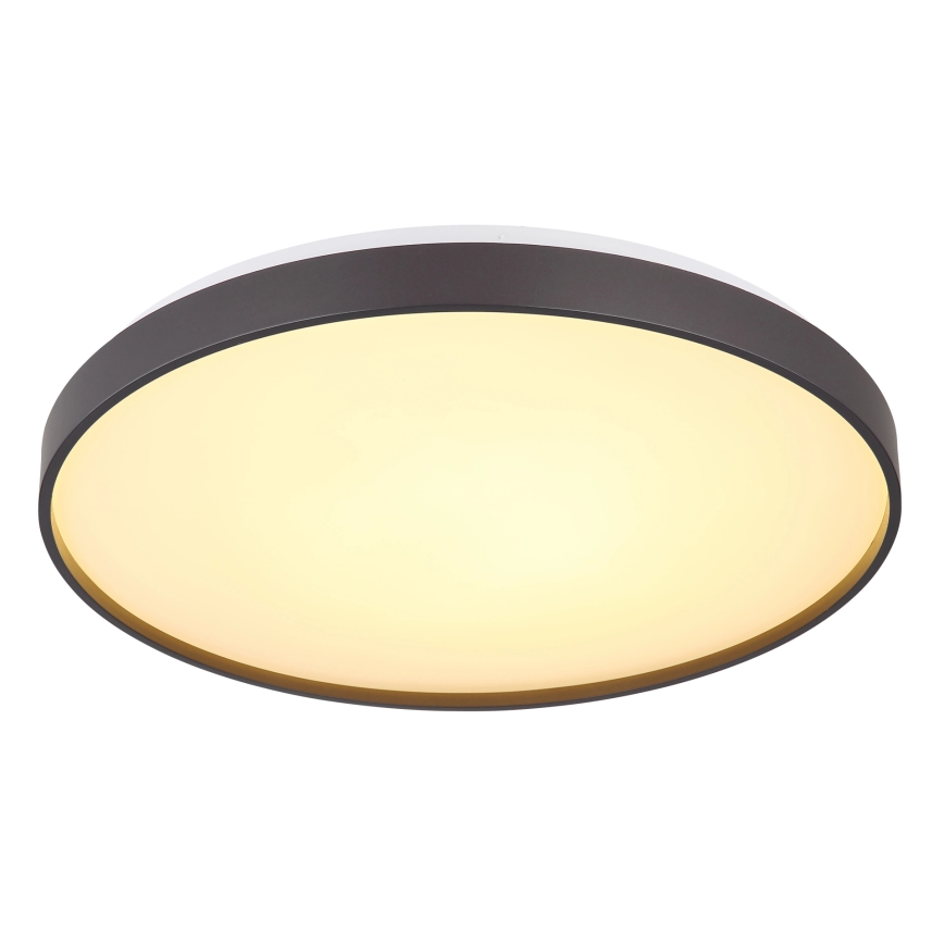 Globo - LED Plafondlamp LED/24W/230V diameter 48 cm antraciet
