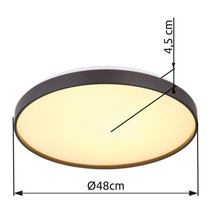 Globo - LED Plafondlamp LED/24W/230V diameter 48 cm antraciet