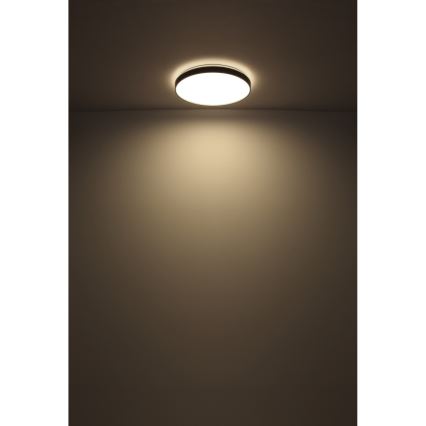 Globo - Plafonnier LED/24W/230V