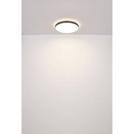 Globo - Plafonnier LED/24W/230V