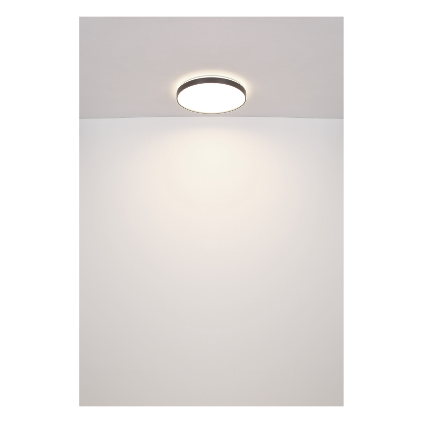 Globo - Plafonnier LED/24W/230V