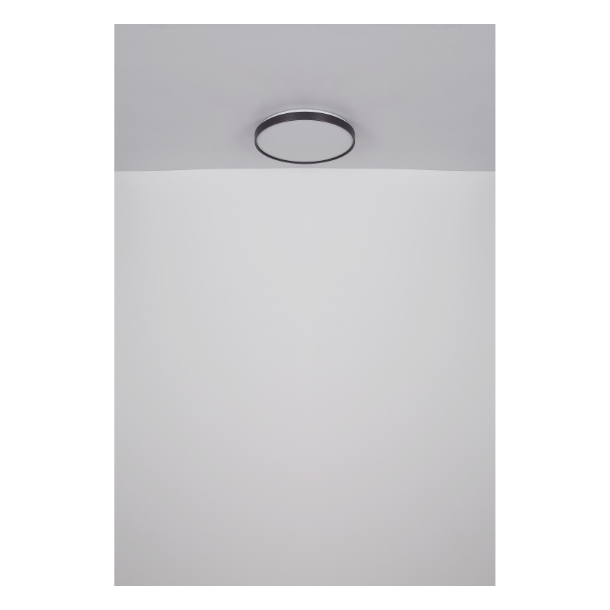 Globo - Plafonnier LED/24W/230V