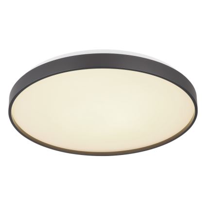 Globo - Plafonnier LED/24W/230V
