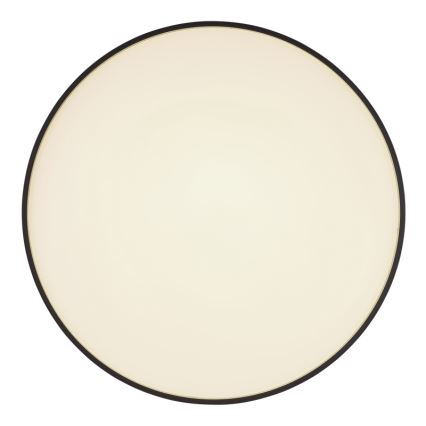 Globo - Plafonnier LED/24W/230V