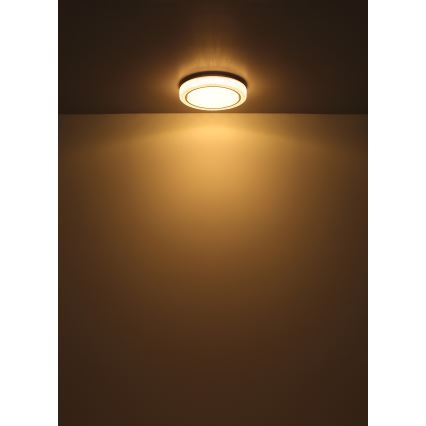 Globo - Plafonnier LED/24W/230V d. 40 cm 3000K blanc