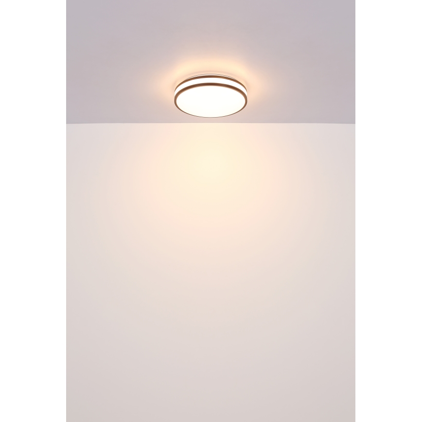 Globo - LED RGBW dimbare plafondlamp LED/18W/230V 2700-6000K + afstandsbediening