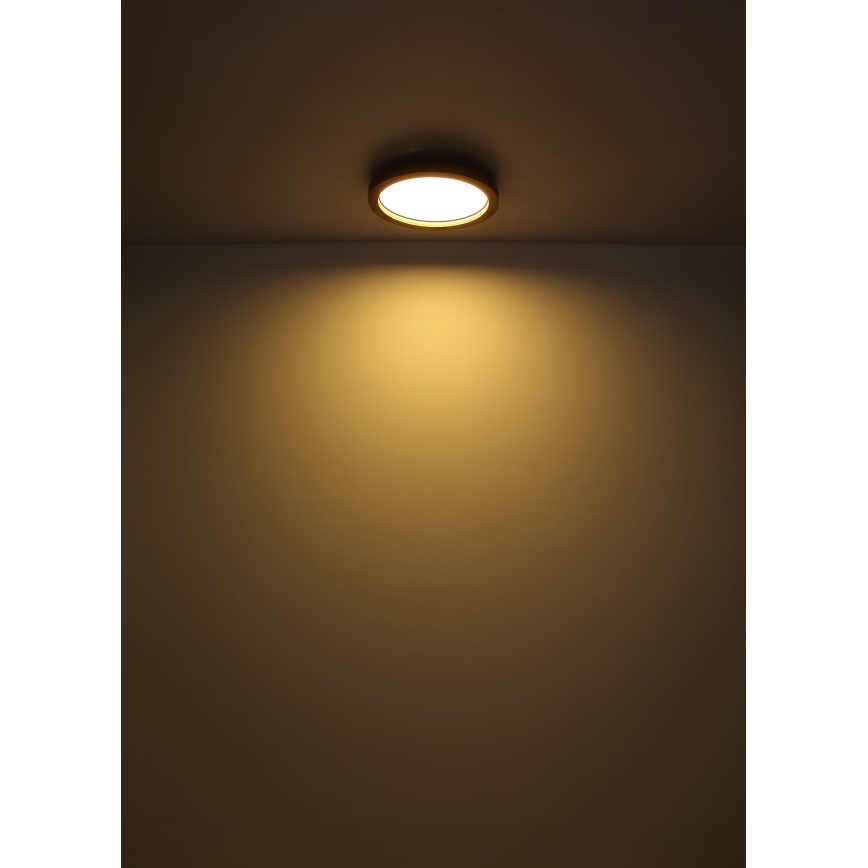 Globo - Plafonnier LED RGBW à intensité variable LED/24W/230V 2700-6000K + télécommande