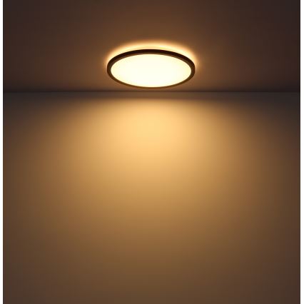 Globo - LED Dimbare badkamer plafondverlichting LED/18W/230V diameter 29,4 cm IP44 zwart