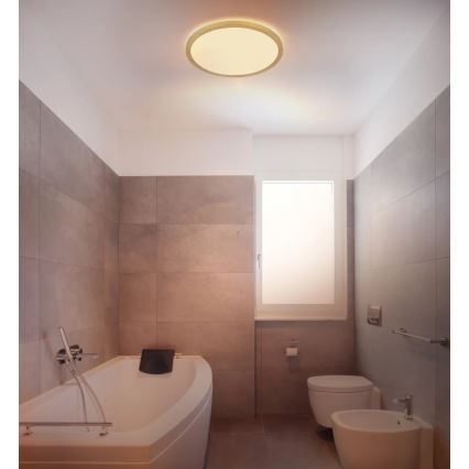 Globo - LED Dimbare badkamer plafondverlichting LED/18W/230V 3000K IP44 diameter 29,4 cm messing