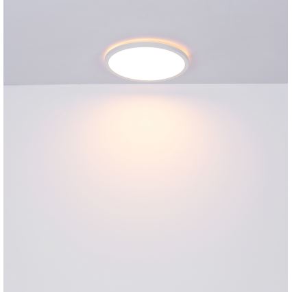 Globo - LED Dimbare badkamer plafondverlichting LED/18W/230V diameter 29,4 cm IP44 wit