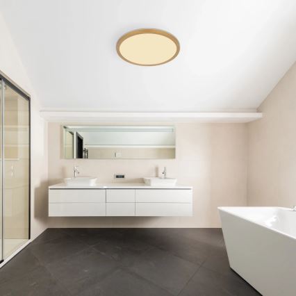 Globo - LED Dimbare badkamer plafondverlichting LED/24W/230V 3000K IP44 diameter 42 cm messing