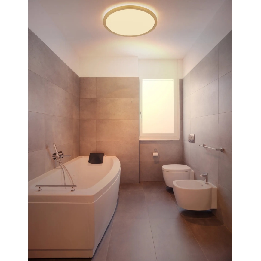 Globo - LED Dimbare badkamer plafondverlichting LED/24W/230V 3000K IP44 diameter 42 cm messing