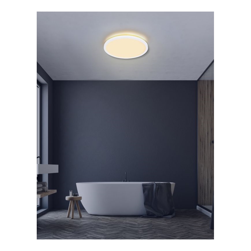 Globo - LED Dimbare badkamer plafondverlichting LED/24W/230V diameter 42 cm IP44 wit