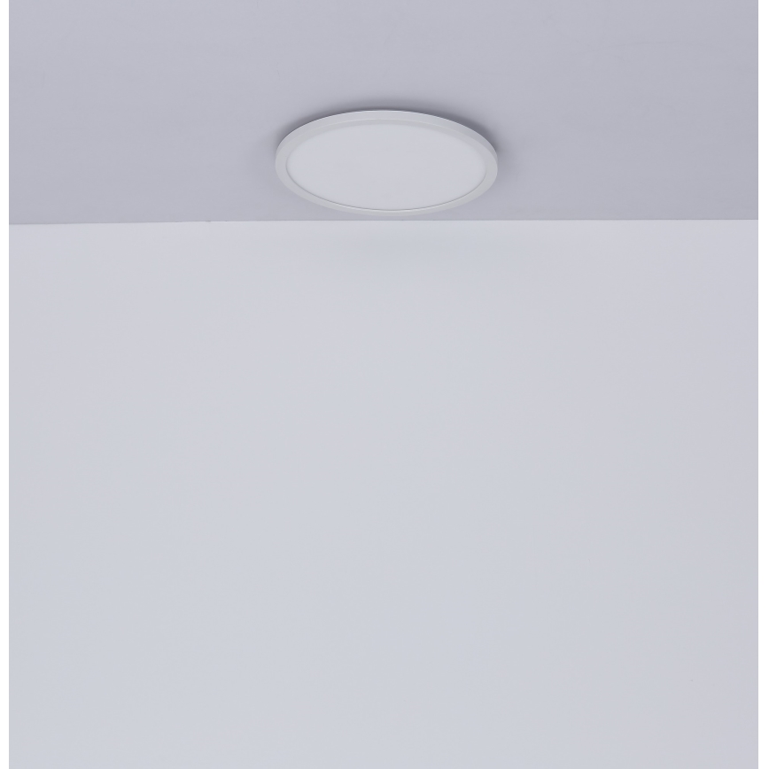 Globo - LED Dimbare badkamer plafondverlichting LED/24W/230V diameter 42 cm IP44 wit