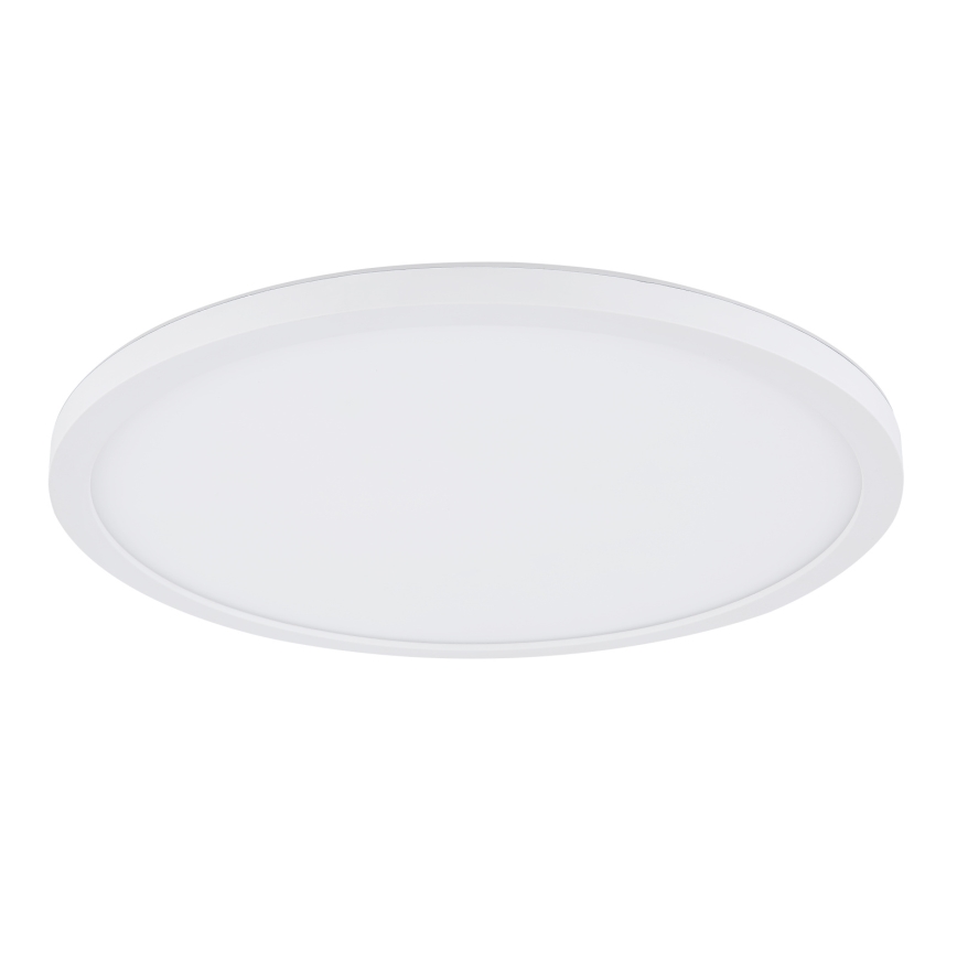 Globo - LED Dimbare badkamer plafondverlichting LED/24W/230V diameter 42 cm IP44 wit