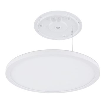 Globo - LED Dimbare badkamer plafondverlichting LED/24W/230V diameter 42 cm IP44 wit