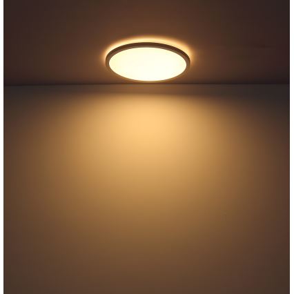 Globo - Plafonnier à intensité variable LED salle de bain LED/24W/230V d. 42 cm IP44 blanc