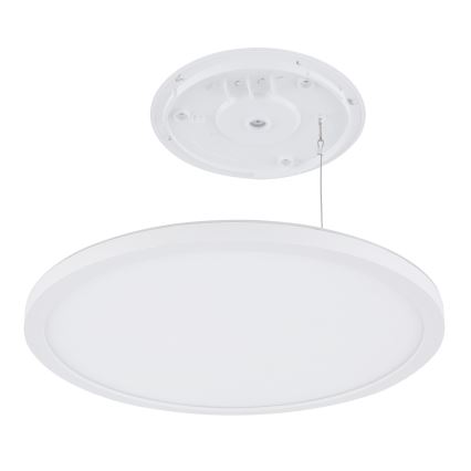 Globo - Plafonnier à intensité variable LED salle de bain LED/24W/230V d. 42 cm IP44 blanc