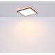 Globo - LED Dimbare badkamer plafondverlichting LED/18W/230V 29,4x29,4 cm IP44 zwart