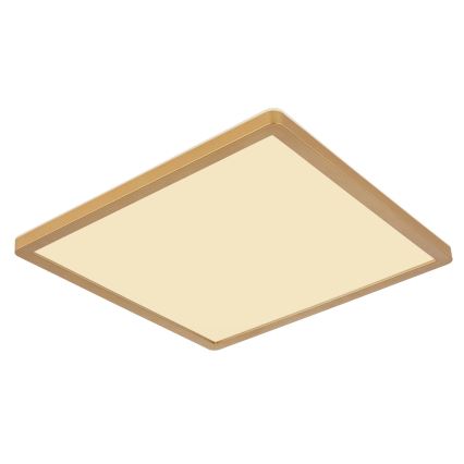 Globo - Plafonnier à intensité variable salle de bain LED/18W/230V 3000K IP44 29,4x29,4 cm laiton