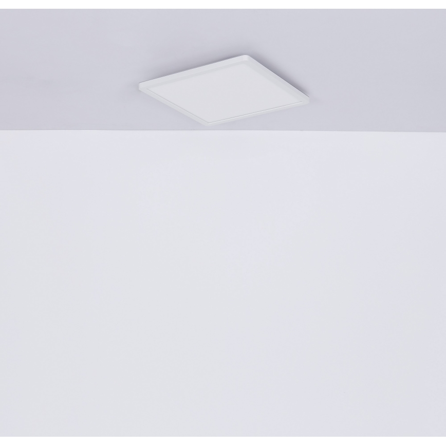 Globo - LED Dimbare badkamer plafondverlichting LED/18W/230V 29,4x29,4 cm IP44 wit