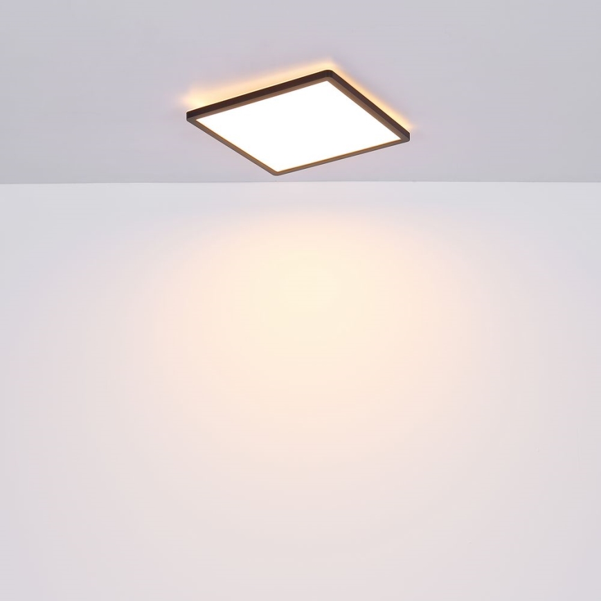 Globo - LED Dimbare badkamer plafondverlichting LED/24W/230V 42x42 cm IP44 zwart