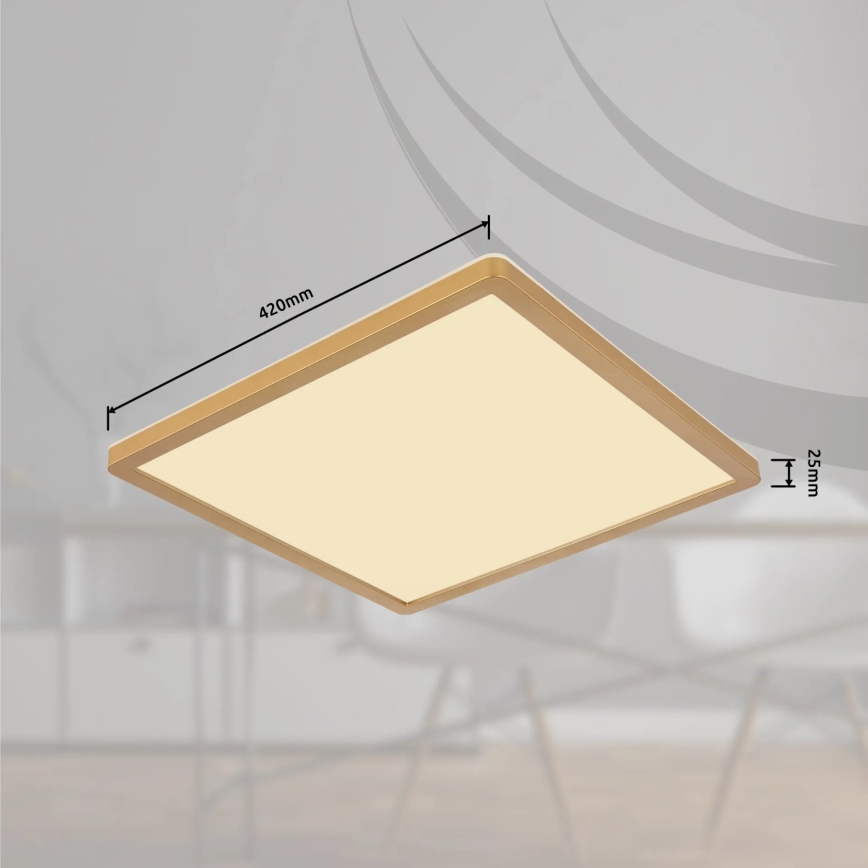 Globo - LED Dimbare badkamer plafondverlichting LED/24W/230V 3000K IP44 42x42 cm messing