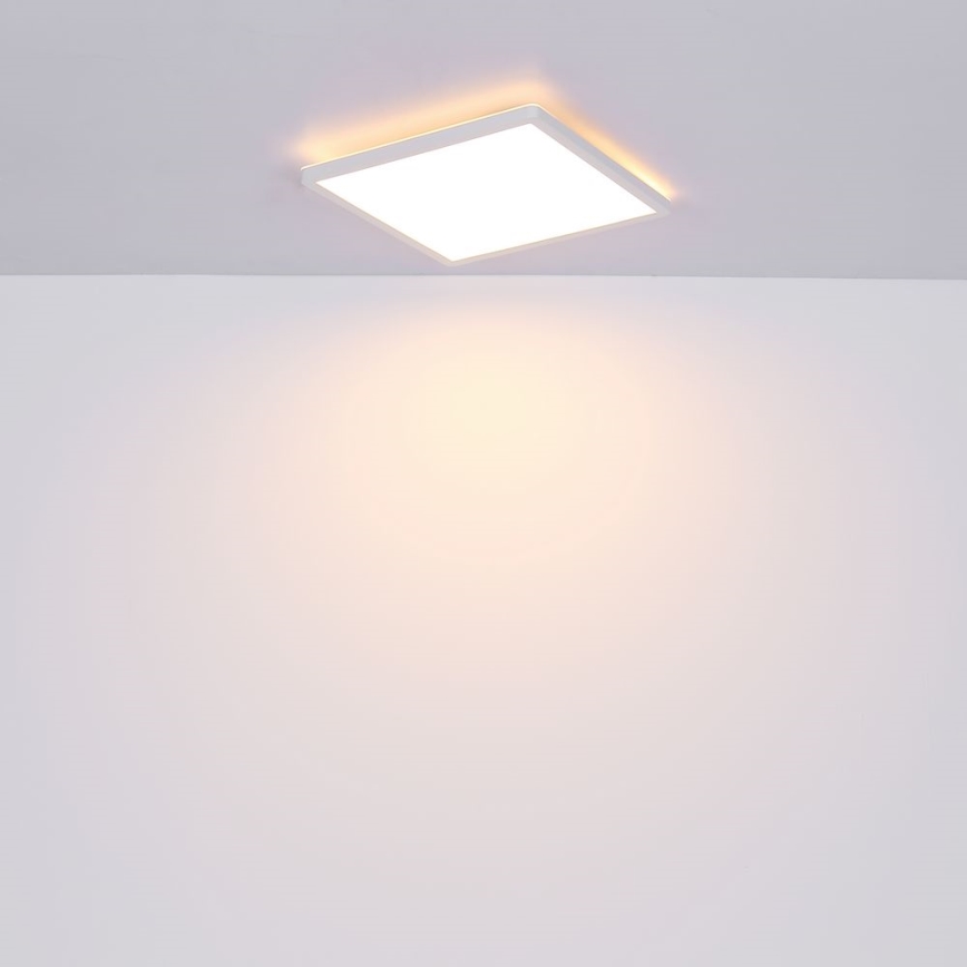 Globo - LED Dimbare badkamer plafondverlichting LED/24W/230V 42x42 cm IP44 wit