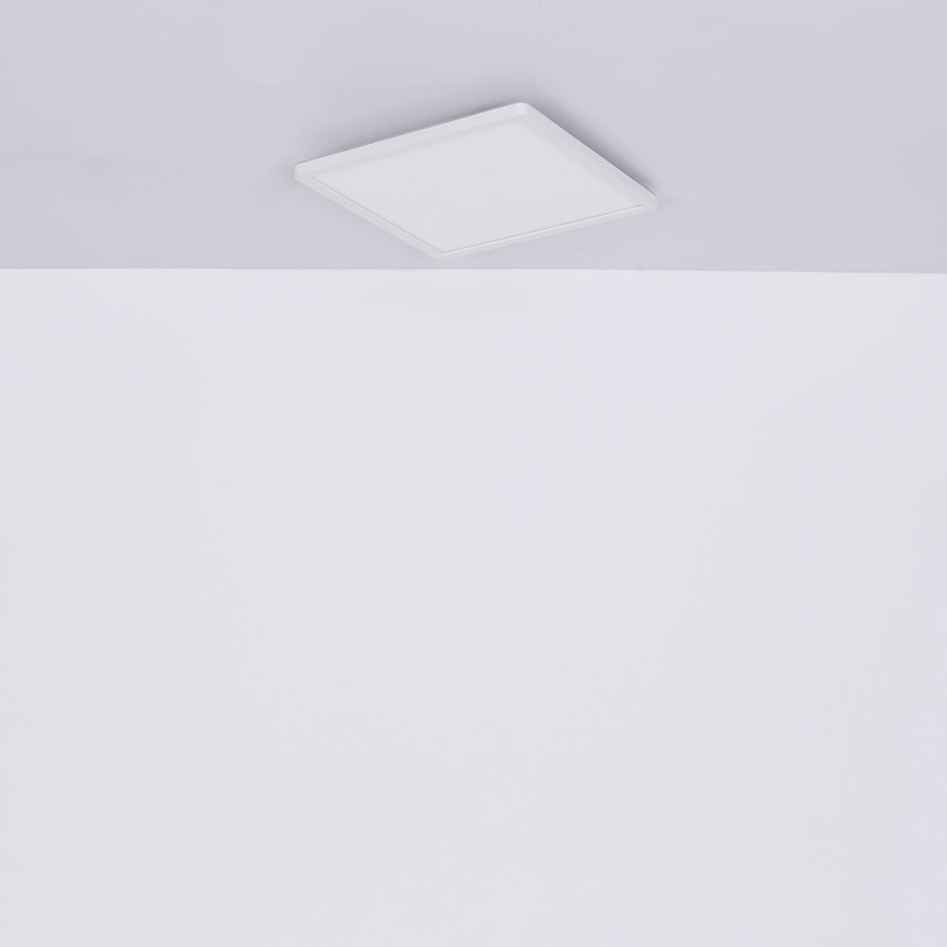 Globo - LED Dimbare badkamer plafondverlichting LED/24W/230V 42x42 cm IP44 wit
