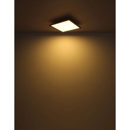 Globo - LED Plafondlamp LED/24W/230V