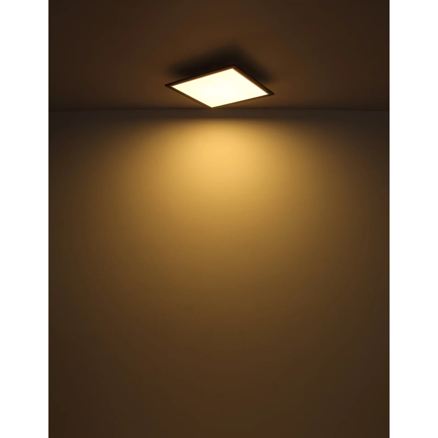 Globo - LED Plafondlamp LED/24W/230V